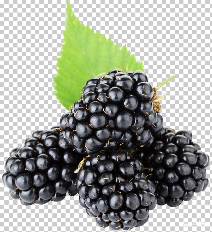 Blackberry PNG, Clipart, Blackberry Free PNG Download