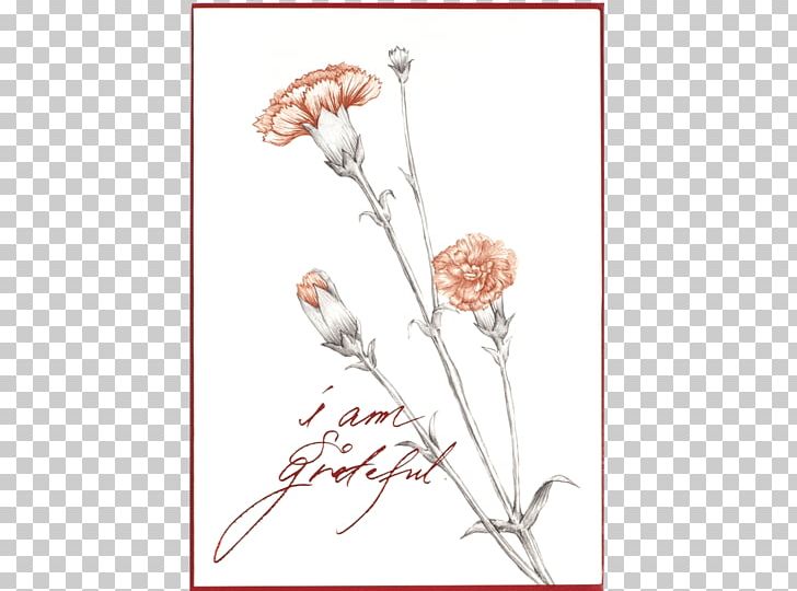 Floral Design Paper Carnation Cut Flowers PNG, Clipart, Art, Beige, Branch, Carnation, Cut Flowers Free PNG Download