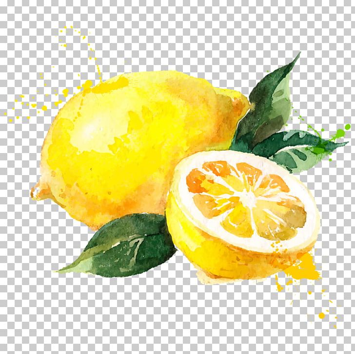 Watercolor Painting Lemon Drawing PNG, Clipart, Bitter Orange, Citric Acid, Citron, Citrus, Color Free PNG Download