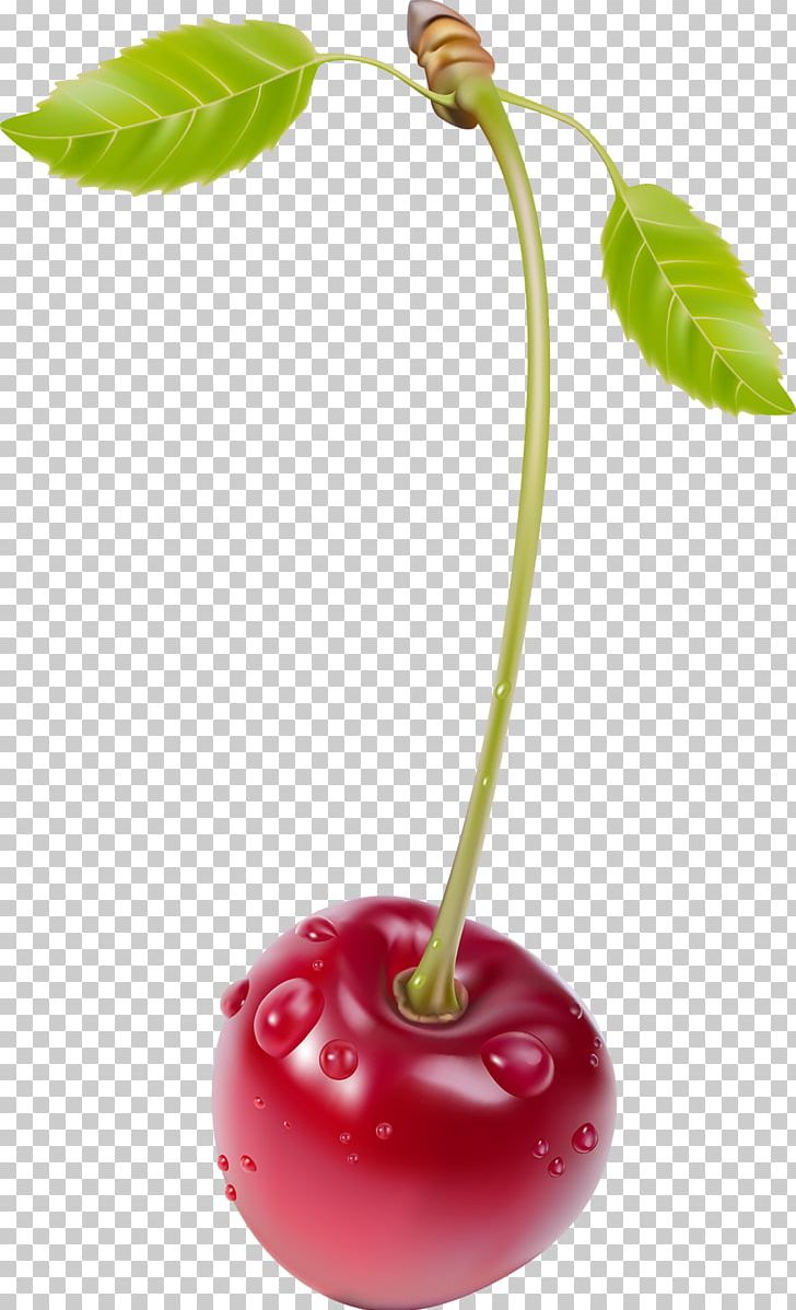 Cherry Blueberry PNG, Clipart, Berries, Berry, Blossom, Blueberry, Cherry Free PNG Download