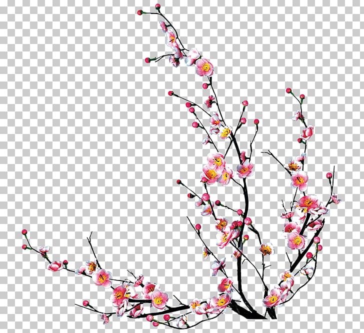 Theme PNG, Clipart, Blossom, Branch, Cherry Blossom, Coreldraw, Cut Flowers Free PNG Download