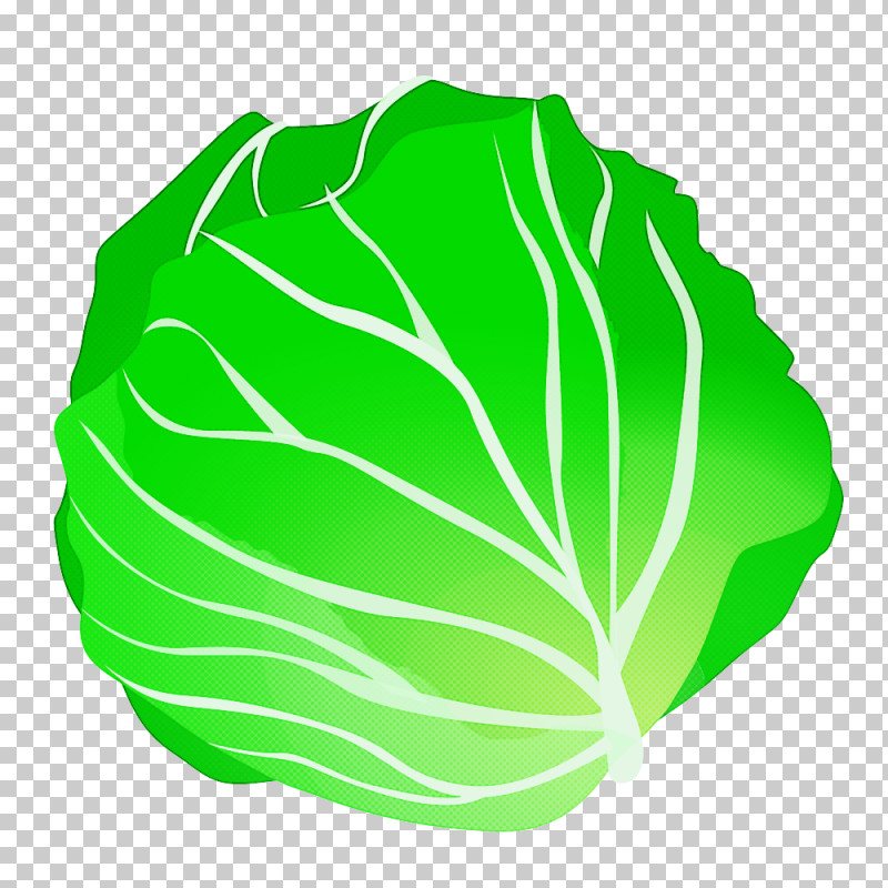 Green Cabbage Leaf Vegetable Leaf Vegetable PNG, Clipart, Cabbage, Green, Leaf, Leaf Vegetable, Lettuce Free PNG Download