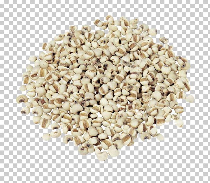Adlay Rice Food Drinking Cereal PNG, Clipart, Barley, Barley Rice, Brown Rice, Clips, Coix Lacrymajobi Free PNG Download
