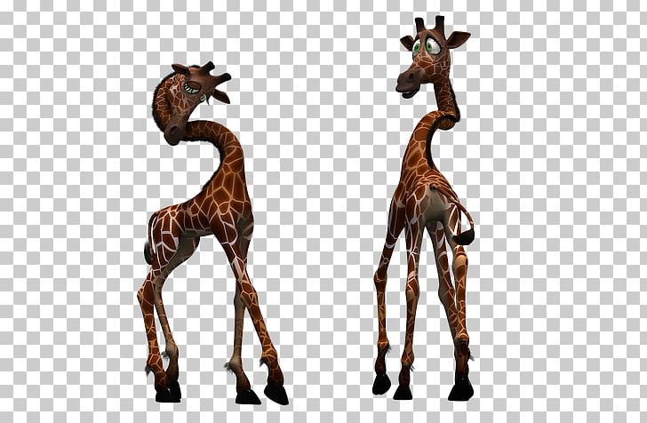 Baby Giraffe Mammal Northern Giraffe Reticulated Giraffe PNG, Clipart, Animal, Animal Figure, Baby Giraffe, Deer, Fantasy Free PNG Download