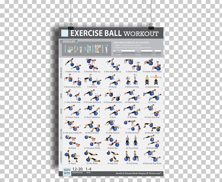 Exercise Balls Bodyweight Exercise Fitness Centre Exercise Bands PNG, Clipart, Abdominal Exercise, Blue, Bodyweight Exercise, Core, Core Stability Free PNG Download