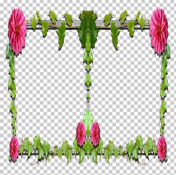 Floral Design Garden Roses Cut Flowers Petal Plant Stem PNG, Clipart, Branch, Branching, Cut Flowers, Flora, Floral Design Free PNG Download