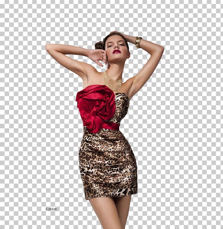 Cocktail Dress Female Fashion PNG, Clipart, 2016, Bayan, Bayan Resimleri, Clothing, Cocktail Free PNG Download