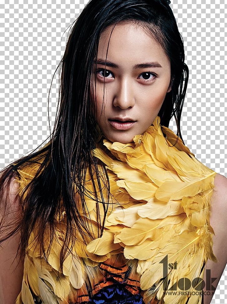 Krystal Jung Jessica & Krystal South Korea F(x) K-pop PNG, Clipart, Actor, Amber Liu, Amp, Black Hair, Brown Hair Free PNG Download