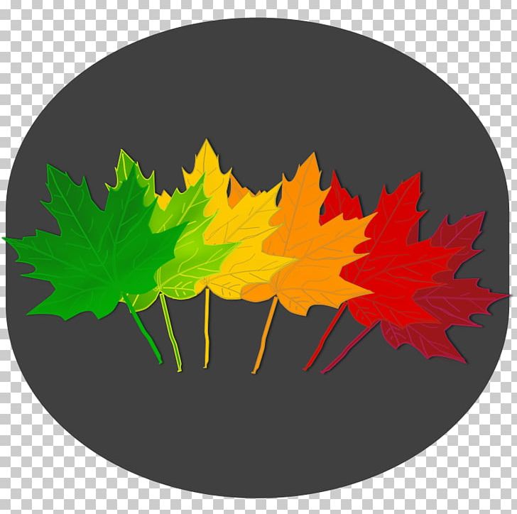Leaf Autumn PNG, Clipart, Autumn, Autumn Leaf Color, Computer Icons, Drawing, Leaf Free PNG Download