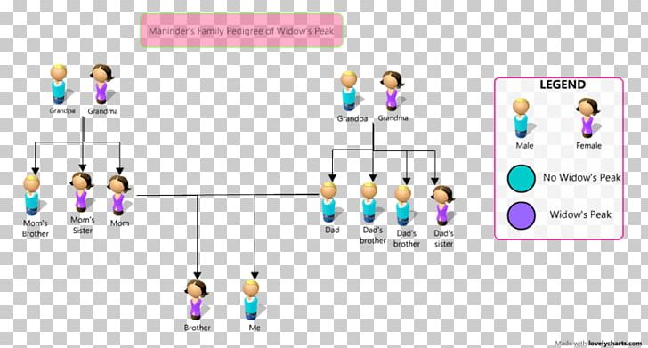 Pedigree Chart Family Tree Genetics Purebred PNG, Clipart,  Free PNG Download