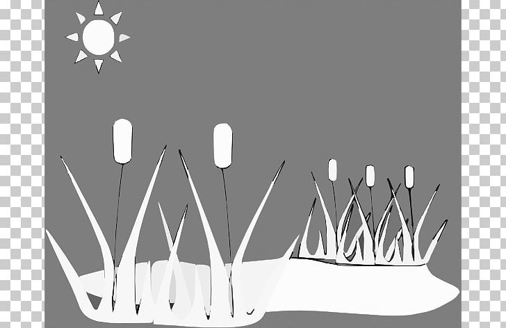 Pond Marsh Black And White PNG, Clipart, Angle, Black And White, Coloring Book, Download, Facebook Free PNG Download
