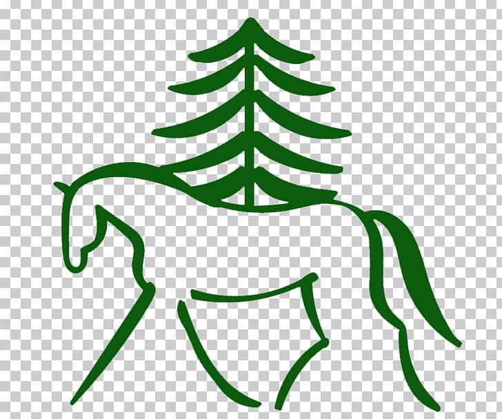 Southern Pines Riding School Whitney Weston Eventing PNG, Clipart, Artwork, Branch, Christmas, Christmas Tree, Conifer Free PNG Download