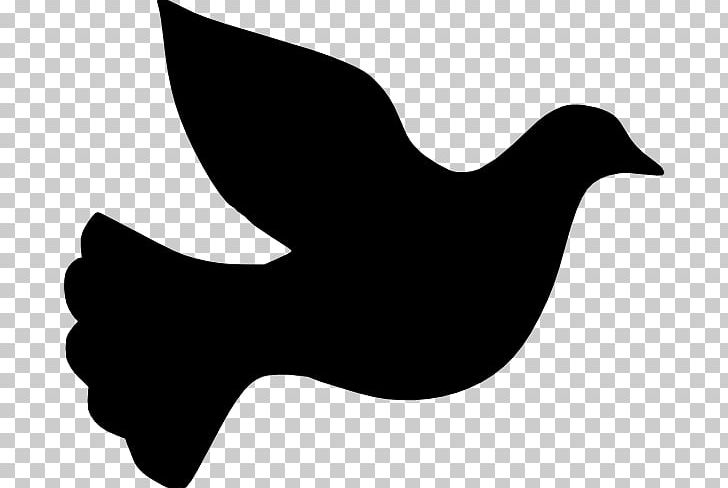 Columbidae Silhouette PNG, Clipart, Animals, Art, Beak, Bird, Black And White Free PNG Download