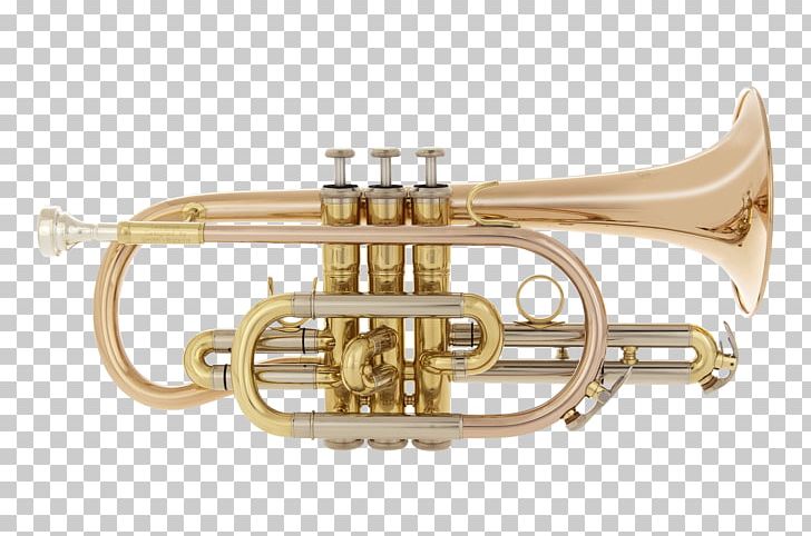 Cornet Trumpet Flugelhorn Saxhorn Mellophone PNG, Clipart, Alto Horn, Besson, Brass, Brass Instrument, Brass Instruments Free PNG Download