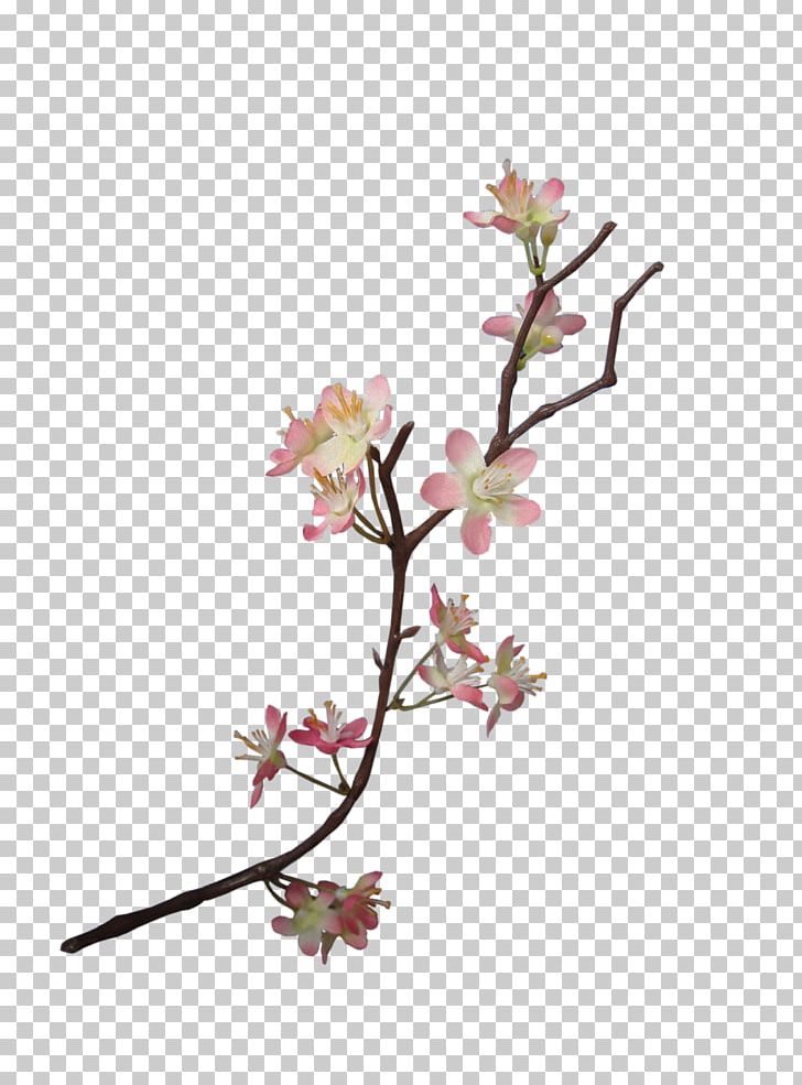 Flower Paper Floral Design Embellishment Scrapbooking PNG, Clipart, Blossom, Branch, Cherry Blossom, Cut Flowers, Digital Scrapbooking Free PNG Download