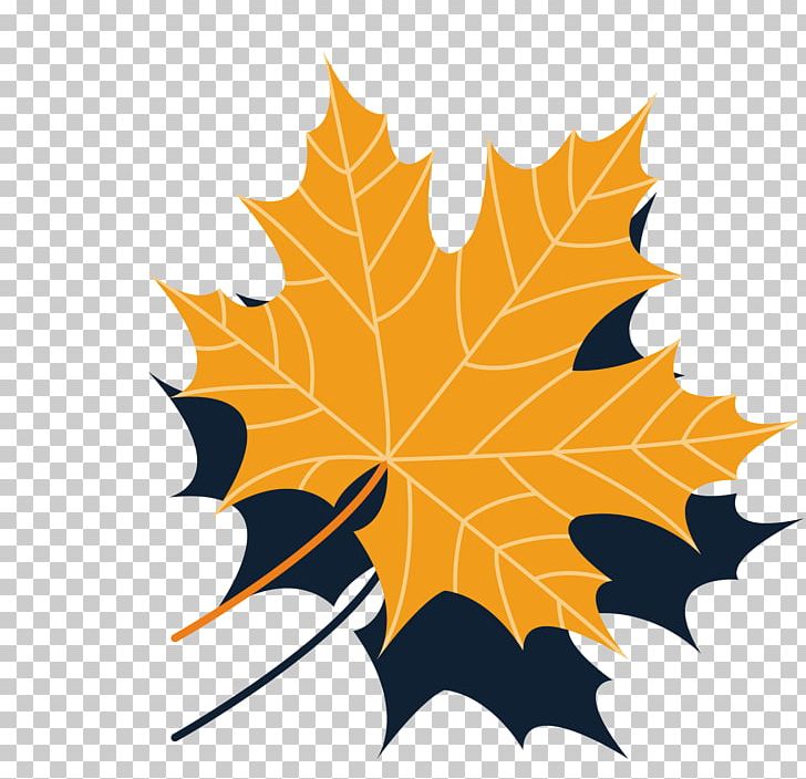 Maple Leaf Autumn PNG, Clipart, Encapsulated Postscript, Fall Leaves, Happy Birthday Vector Images, Leaf, Leaf Design Vector Elements Free PNG Download