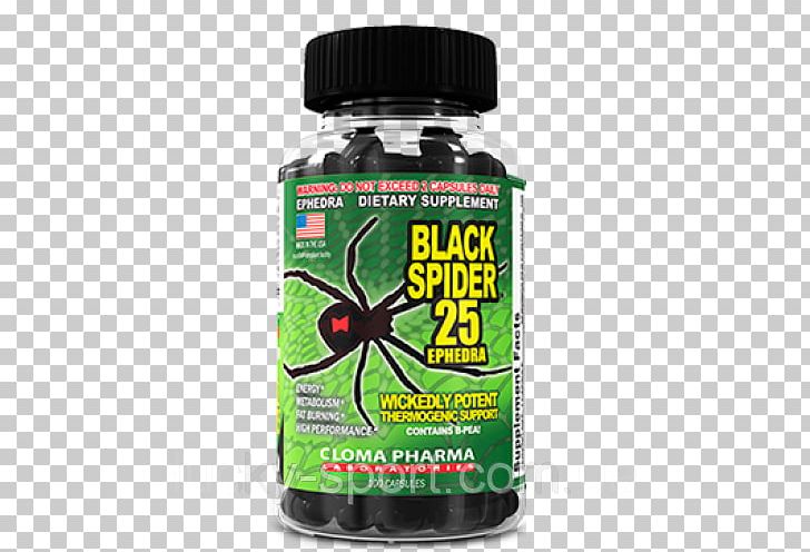 Spider Southern Black Widow Price Dietary Supplement Ephedra PNG, Clipart, Black Spider, Bodybuilding Supplement, Branchedchain Amino Acid, Capsule, Dietary Supplement Free PNG Download
