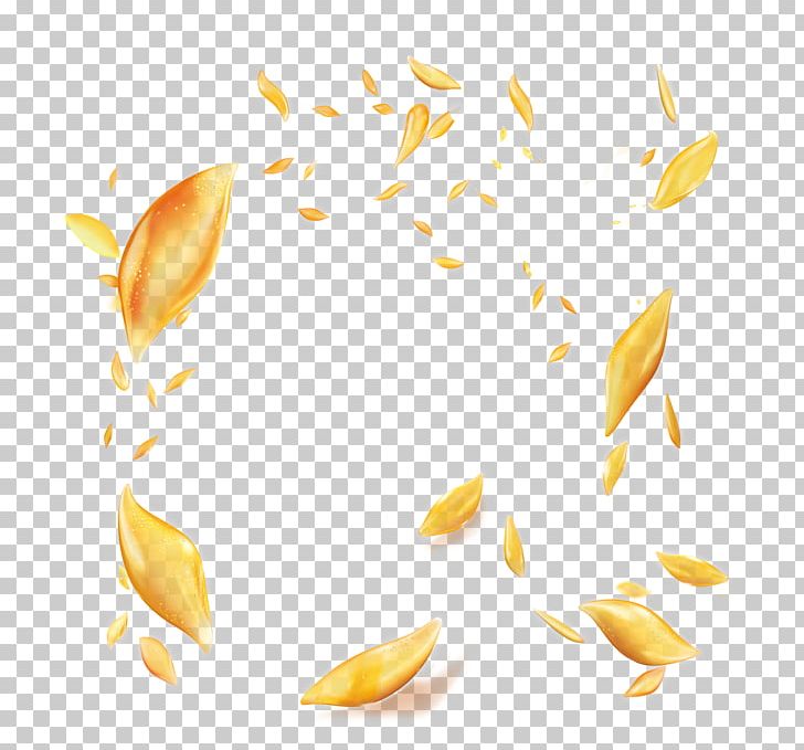 Yellow Petal Designer PNG, Clipart, Background, Chart, Concepteur, Creatives, Decorative Free PNG Download