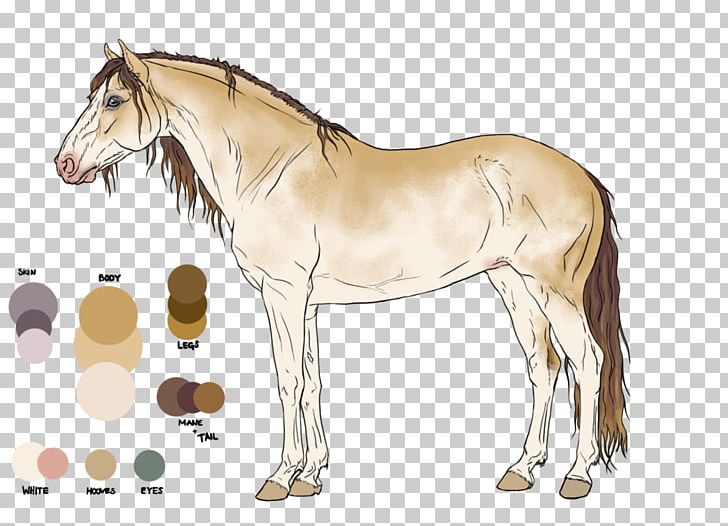 Mane Foal Stallion Mustang Mare PNG, Clipart, Bridle, Colt, Dog Harness, Fauna, Foal Free PNG Download