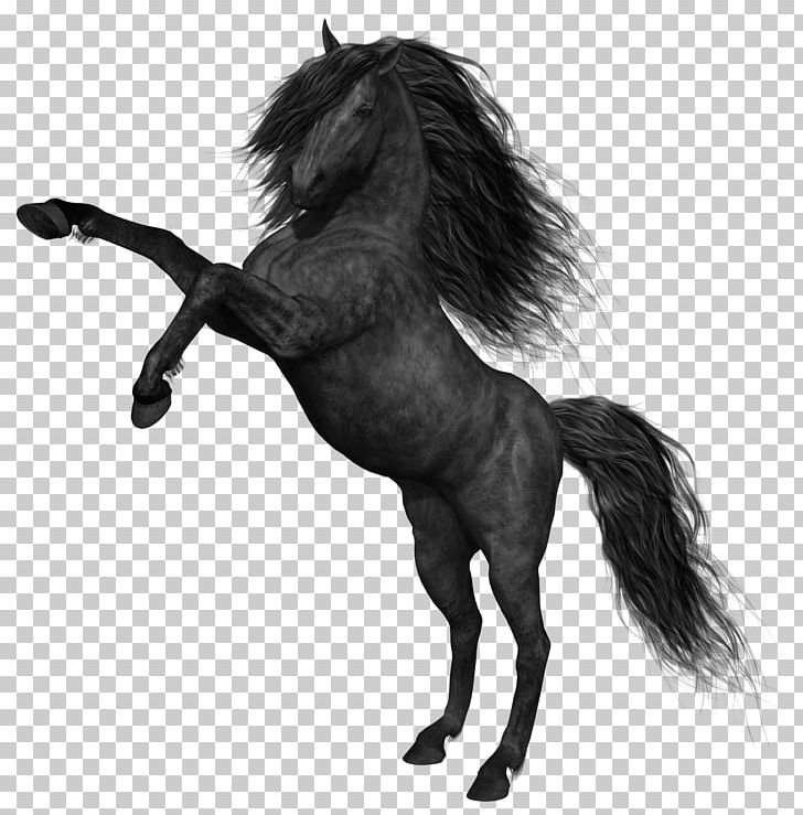 Mustang Black PNG, Clipart, Animals, Black, Black And White, Canter And Gallop, Clipart Free PNG Download