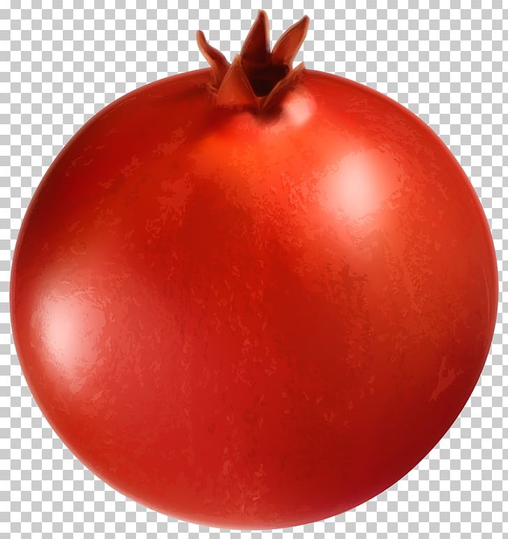 Pomegranate Plum Tomato PNG, Clipart, Blog, Bush Tomato, Christmas Ornament, Clipart, Clip Art Free PNG Download