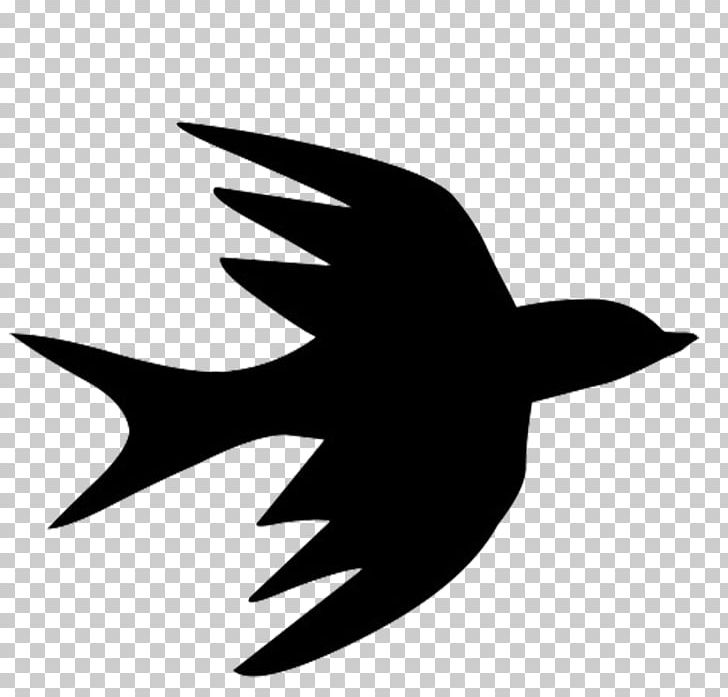 Bird Flight Bird Flight Swallow Silhouette PNG, Clipart, Animals, Barn Swallow, Beak, Bird, Bird Flight Free PNG Download