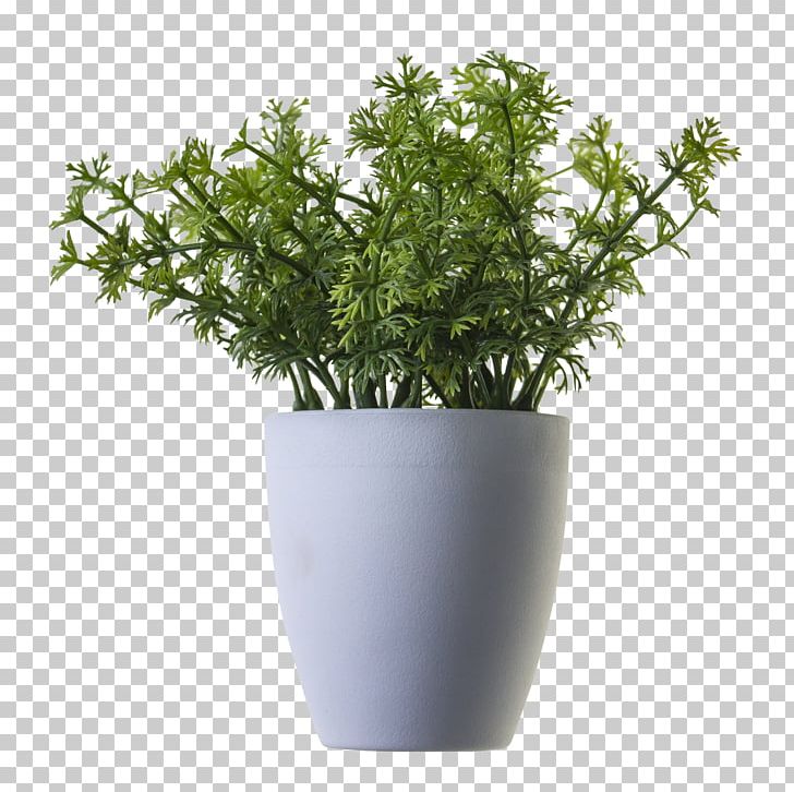 Houseplant Tree PNG, Clipart, Cactaceae, Cell, Flower, Flowerpot, Grass Free PNG Download