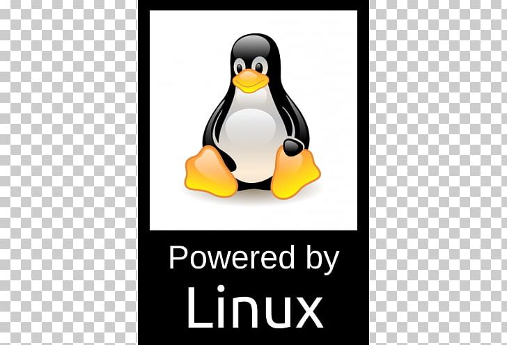 Penguin Tux Racer Linux Operating Systems PNG, Clipart, Android, Beak, Bird, Brand, Computer Servers Free PNG Download