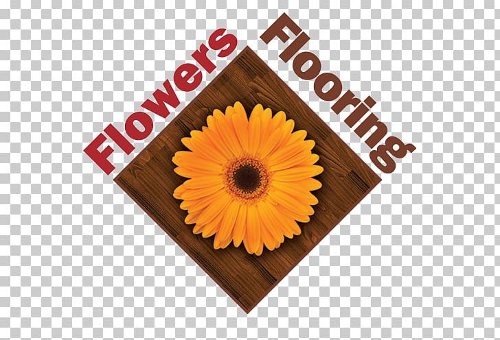 Auburn Flowers Flooring Sales Business PNG, Clipart, Architectural Engineering, Auburn, Business, Carpet, Cieic Integral Bilingual Free PNG Download