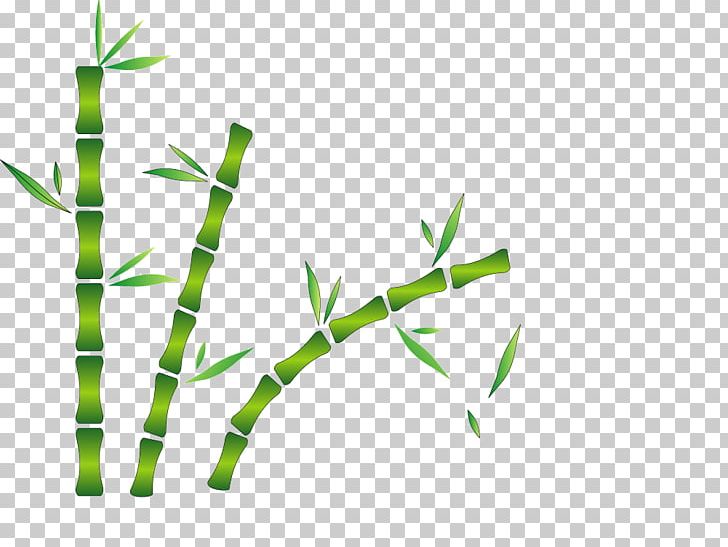 Bamboo Drawing PNG, Clipart, Angle, Bamboo Mat, Cartoon, Cartoon Pictures, City Silhouette Free PNG Download