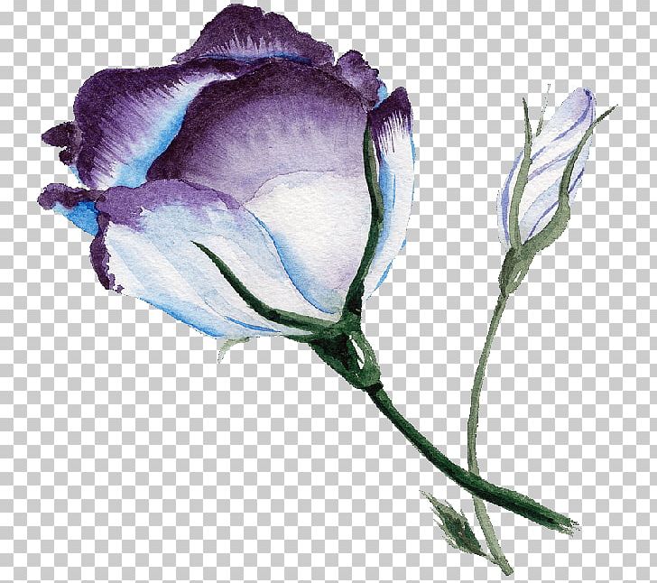 Blue Rose Watercolor Painting Flower PNG, Clipart, Blue Rose, Bud, Computer Icons, Cut Flowers, Flora Free PNG Download