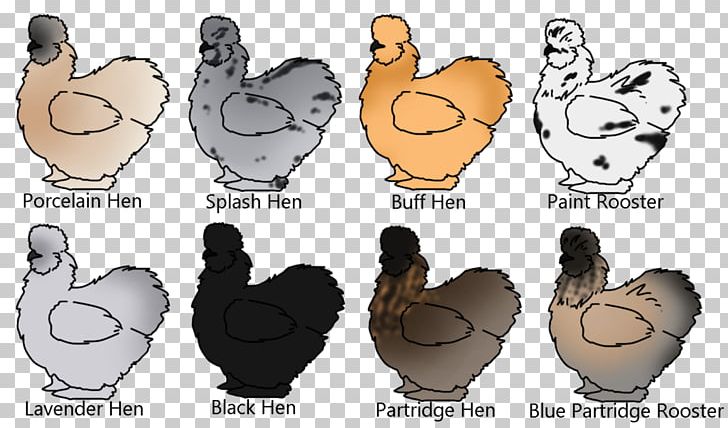 Rooster Chicken Cygnini Goose Bird PNG, Clipart, Anatidae, Bird, Carnivoran, Cartoon, Chicken Free PNG Download