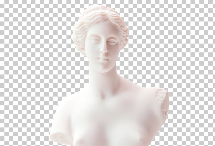 Phaedrus Classical Sculpture Penguin Chin PNG, Clipart, Animals, Book, Chest, Chin, Classical Sculpture Free PNG Download
