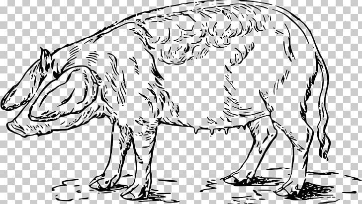Wild Boar Drawing PNG, Clipart, Animal, Animal Figure, Animals, Artwork, Black And White Free PNG Download