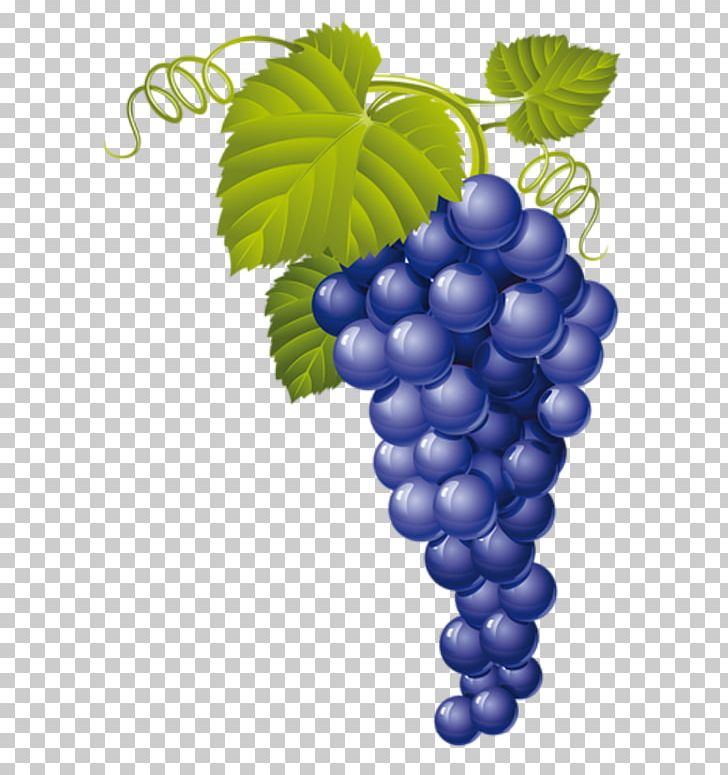 Common Grape Vine Red Wine PNG, Clipart, Bilberry, Common Grape Vine, Flowering Plant, Food, Food Drinks Free PNG Download