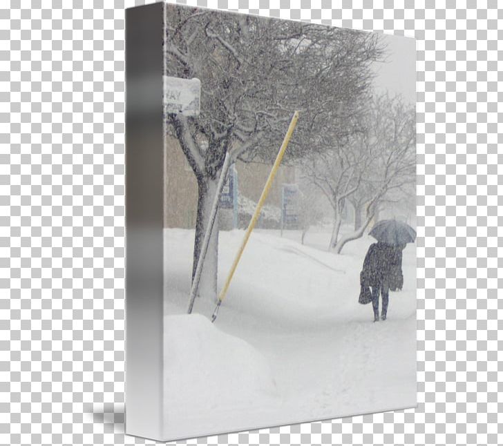 Product Design Snow Tree PNG, Clipart, Dagens Nyheter, Snow, Snow Storm, Tree, Winter Free PNG Download