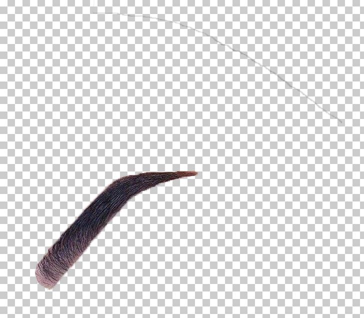 Worm Eyebrow PNG, Clipart, Avatan, Avatan Plus, Eyebrow, Miscellaneous, Others Free PNG Download