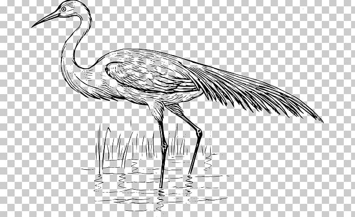 Blue Crane Bird Heron Egret PNG, Clipart, Artwork, Beak, Bird, Black And White, Blue Free PNG Download