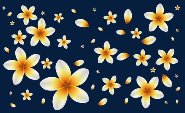 Hawaii Egg Flower PNG, Clipart, Colorful, Egg Clipart, Flower, Flower Clipart, Hawaii Free PNG Download