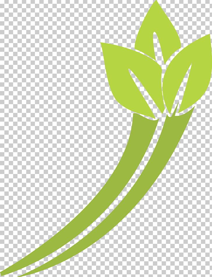 Leaf Rotational Symmetry Shape Alpana Pattern PNG, Clipart, Alpana, Area, Axial Symmetry, Flora, Flower Free PNG Download