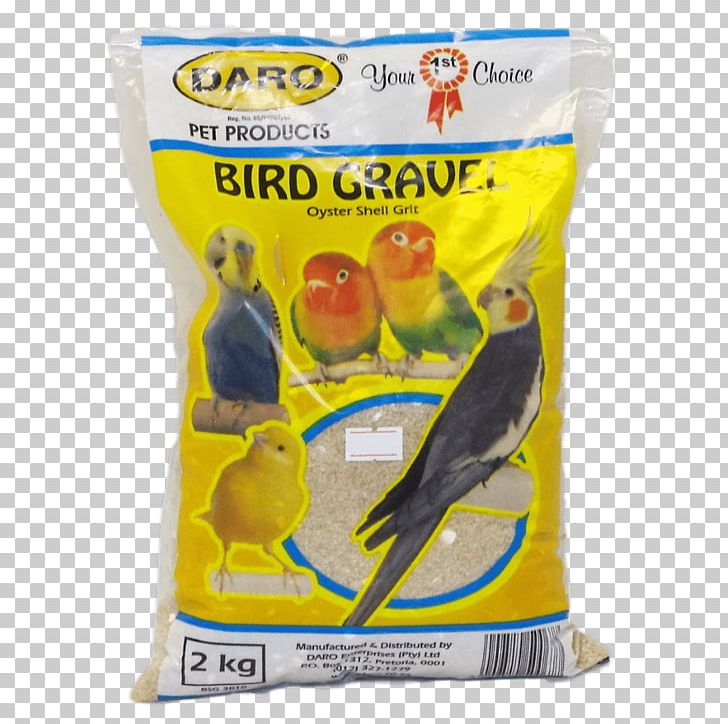Parrot Budgerigar Cockatiel Lovebird PNG, Clipart, Bird, Budgerigar, Cage, Cockatiel, Flavor Free PNG Download