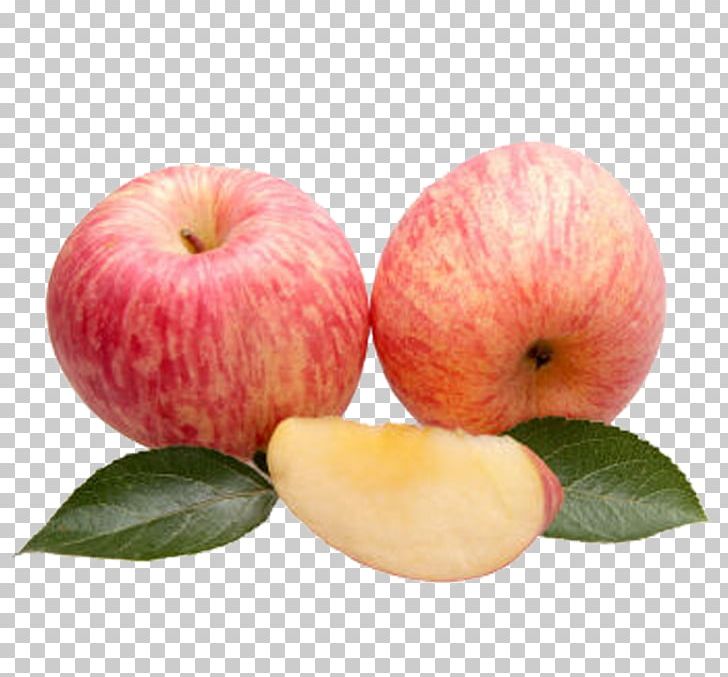 Apple Fruit Computer File PNG, Clipart, Adobe Illustrator, Apple, Apple Fruit, Apple Logo, Apple Vector Free PNG Download