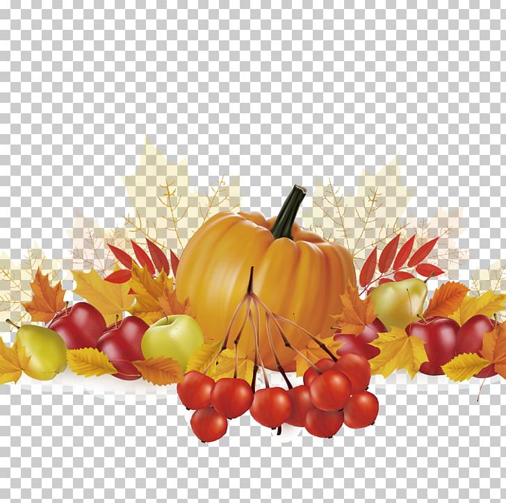 Thanksgiving Day Fruit Illustration PNG, Clipart, Appl, Encapsulated Postscript, Food, Grapevine Family, Green Apple Free PNG Download