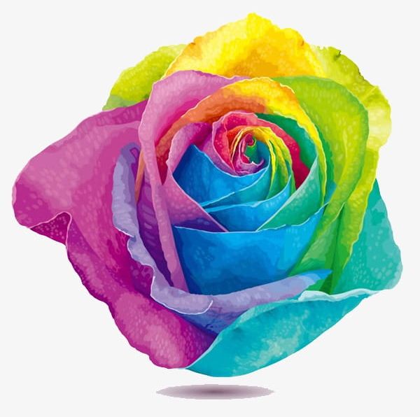 Rainbow Roses PNG, Clipart, Flowers, Rainbow, Rainbow Clipart, Roses Clipart Free PNG Download
