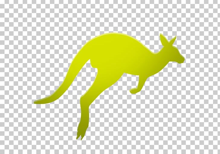 Responsive Web Design Kangaroo Macropodidae PNG, Clipart, Allinone, Animal Figure, Animals, App, Australia Free PNG Download