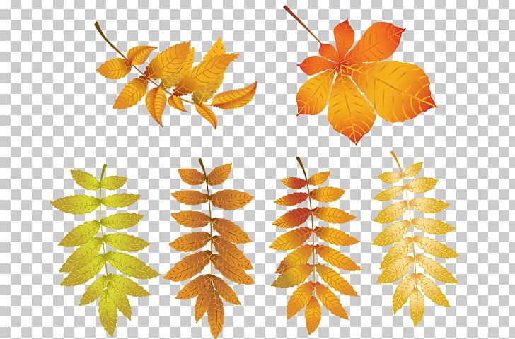 Autumn PNG, Clipart, Art, Autumn, Autumn Leaf Color, Autumn Leaves, Branch Free PNG Download