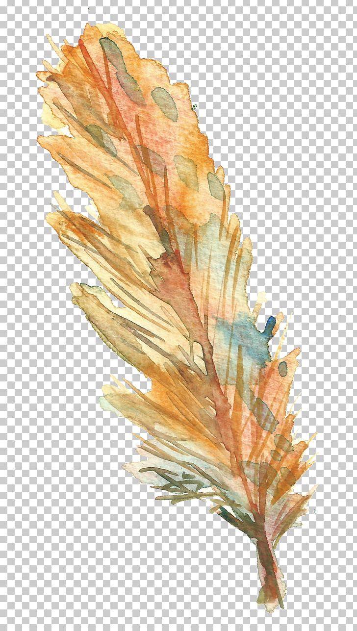 Bird Feather Drawing PNG, Clipart, Animal, Animal Feather, Animals, Bird, Cartoon Free PNG Download