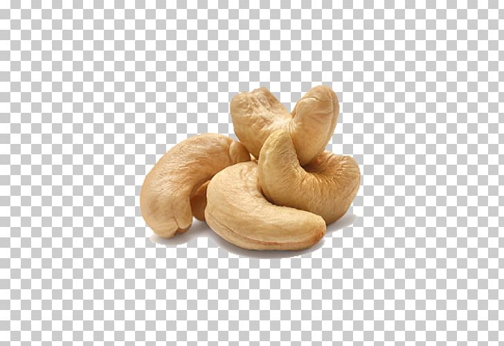 Cashew PNG, Clipart, Cashew Free PNG Download