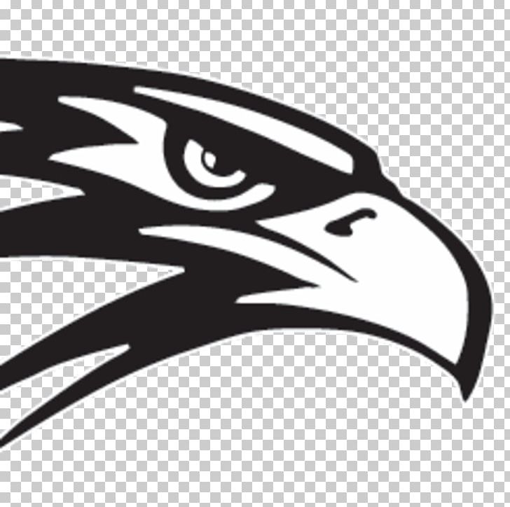 Del Norte High School Nighthawk Lane PNG, Clipart, Beak, Bird, Bird Of Prey, Black And White, Brand Free PNG Download