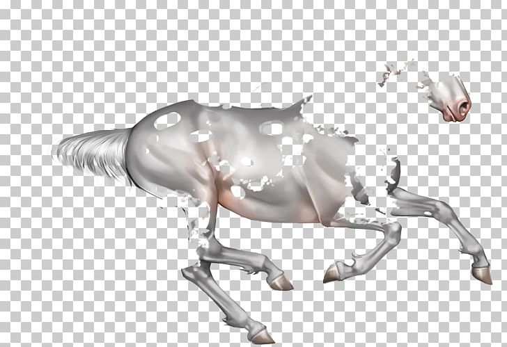 Horse Decapoda Sterling Silver Pound Sterling PNG, Clipart, Animals, Decapoda, Horse, Horse Blanket, Horse Like Mammal Free PNG Download